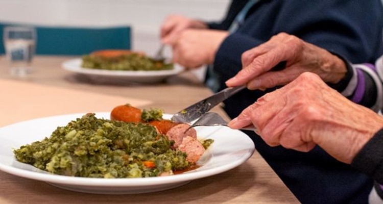 Alimentación variada y equlibrada