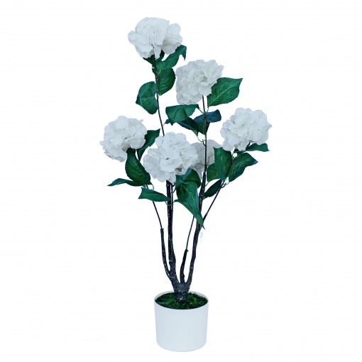 hortensia plantas carrefour Merca2.es