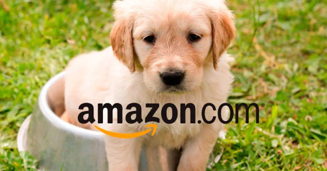 Los 10 mejores productos para mascotas en la web de Amazon