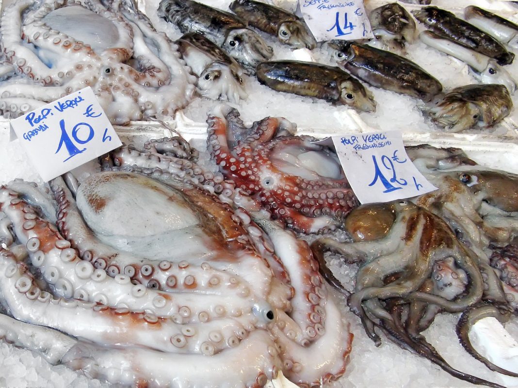 pulpo pescadería, Dabiz Muñoz