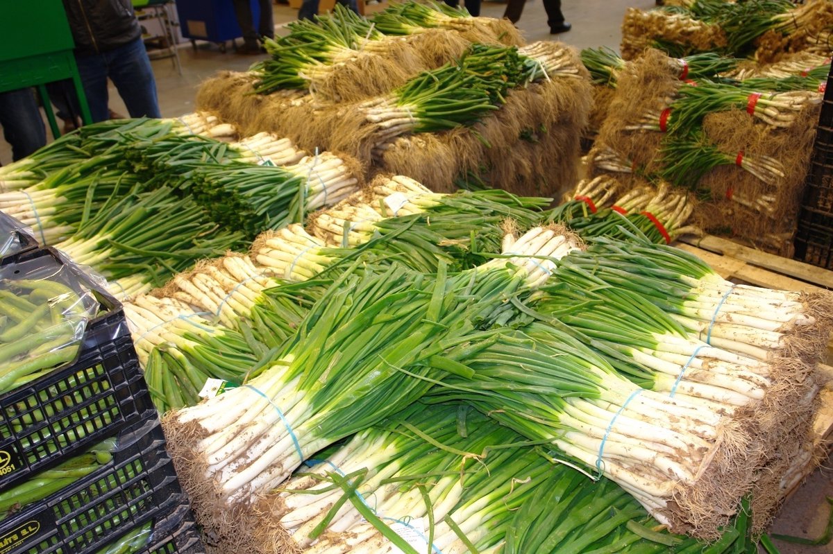Calçots: el plato más típico de Cataluña que gusta en toda España