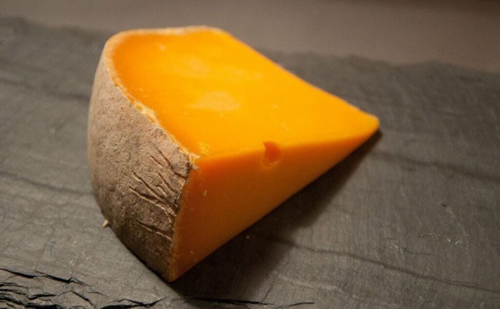 Cheddar- quesos