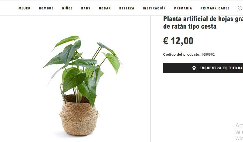 Planta artificial de hojas grandes con macetero de ratán tipo cesta- Primark