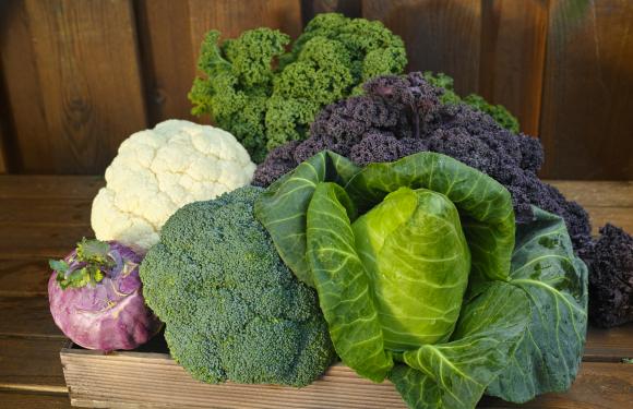 Vegetales de hoja verde- Alimentos para prevenir la diabetes