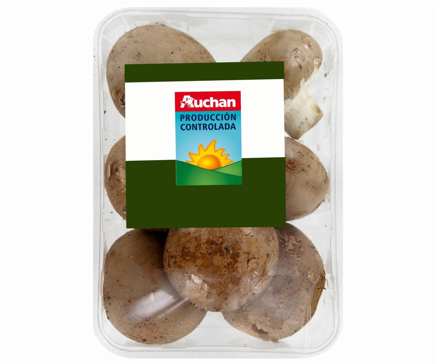 champiñón Portobello