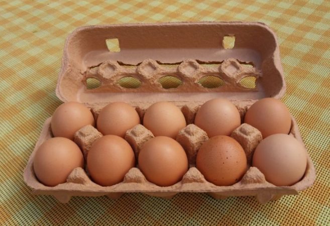 Huevos  alimentos