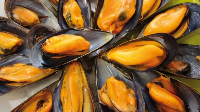 receta arguinano mejillones en escabeche