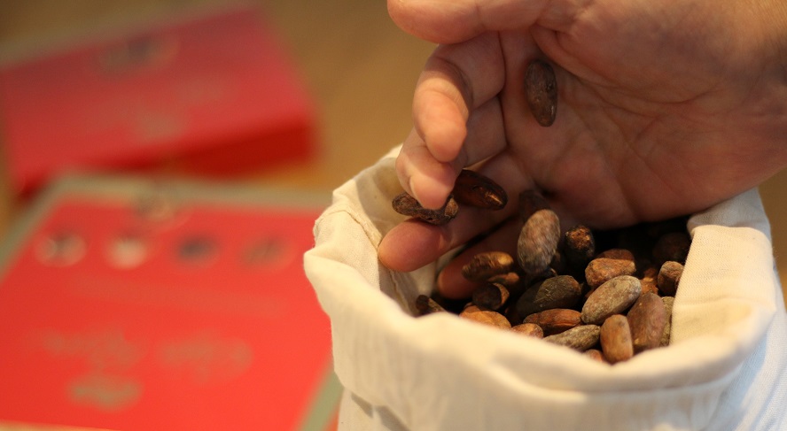 nestle-energia-cacao
