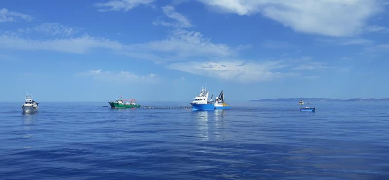 Balfegó finaliza la campaña de la pesca 2021 de atún rojo con  2.410 toneladas