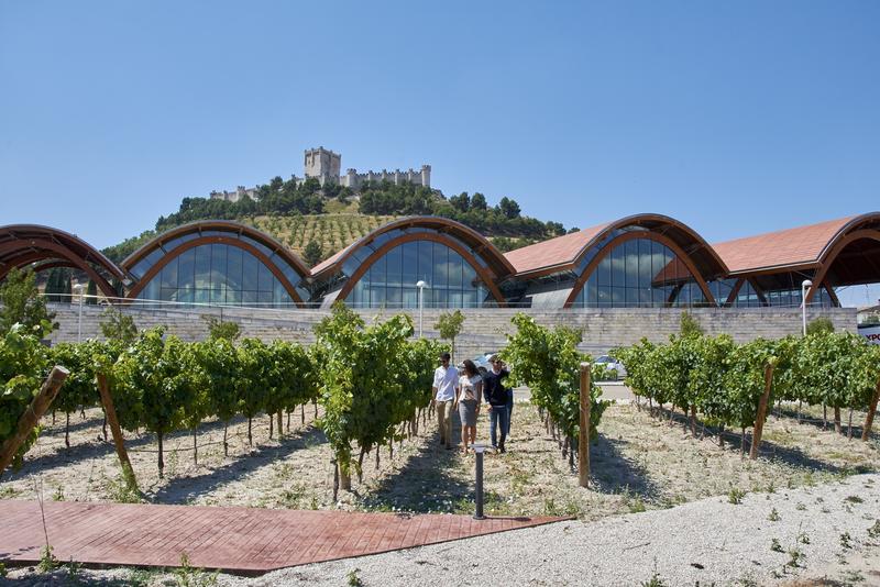 Protos eleva un 16% las ventas de vino en las tiendas propias de bodega hasta mayo