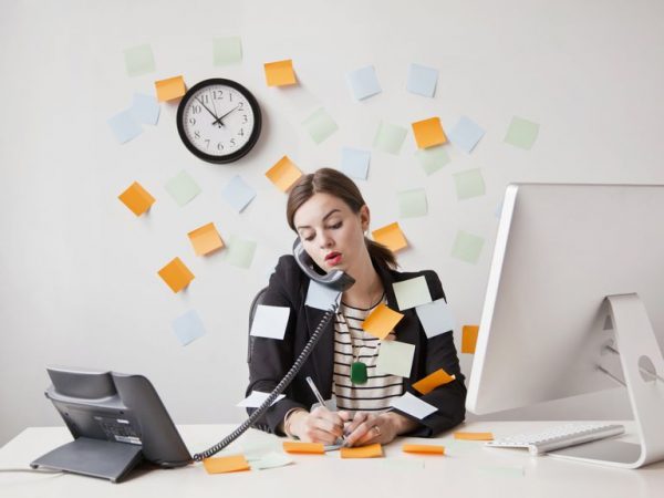 precio servicio freelance
