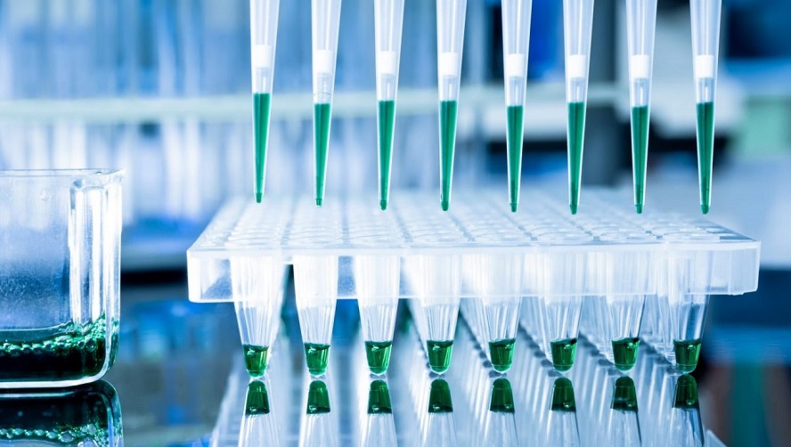 Genotica y el negocio del ADN: 15 laboratorios y 700 tests genéticos