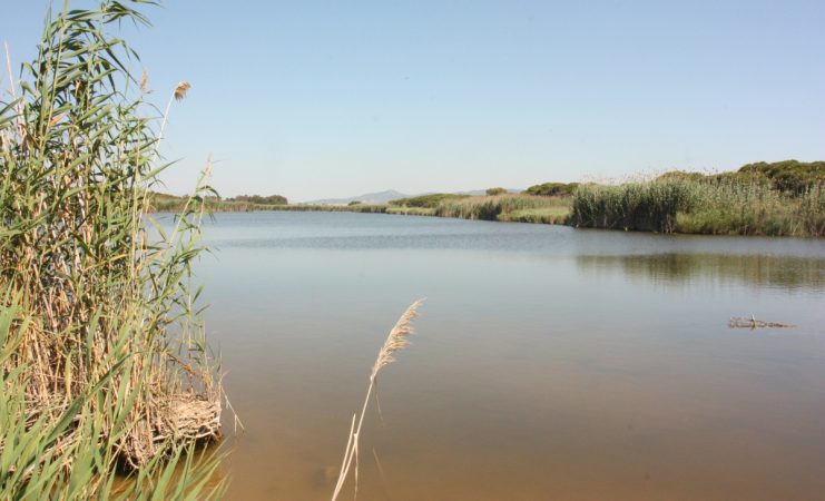 La laguna de la Ricarda se puede desplazar