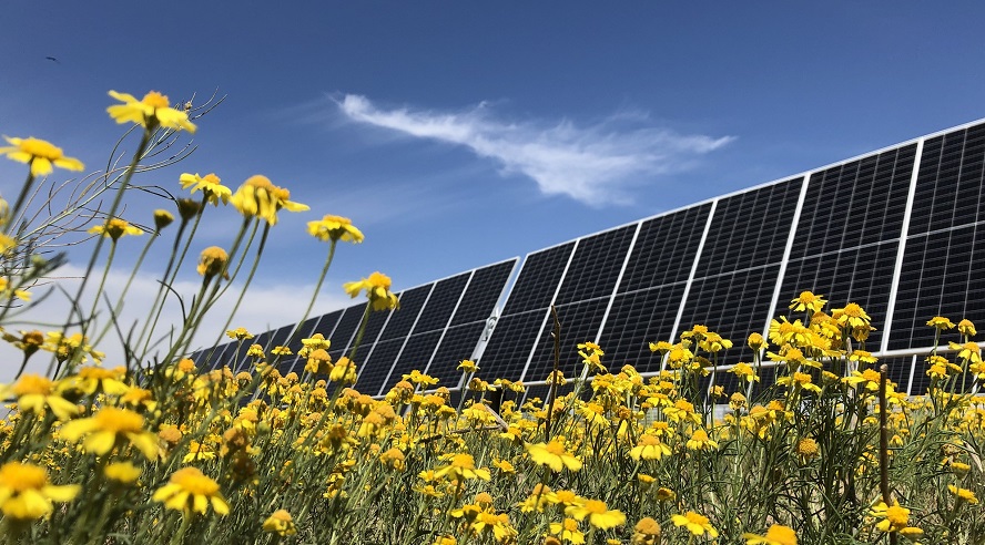 Nestlé se pasa al autoconsumo en plena subida de la luz