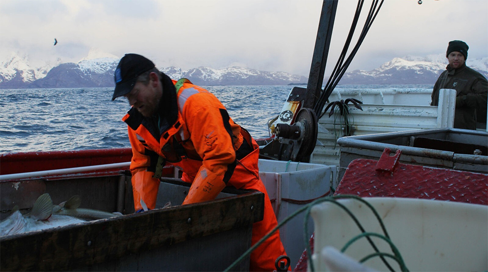 La guerra del bacalao y la caballa: los pescadores contra Noruega