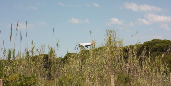 Una avión, en pleno aterrizaje sobrevuela La Ricarda junto a El Prat. AJM