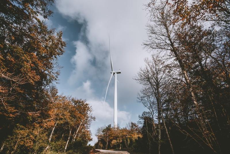 Siemens Gamesa suministrará 93 turbinas a un parque eólico en India