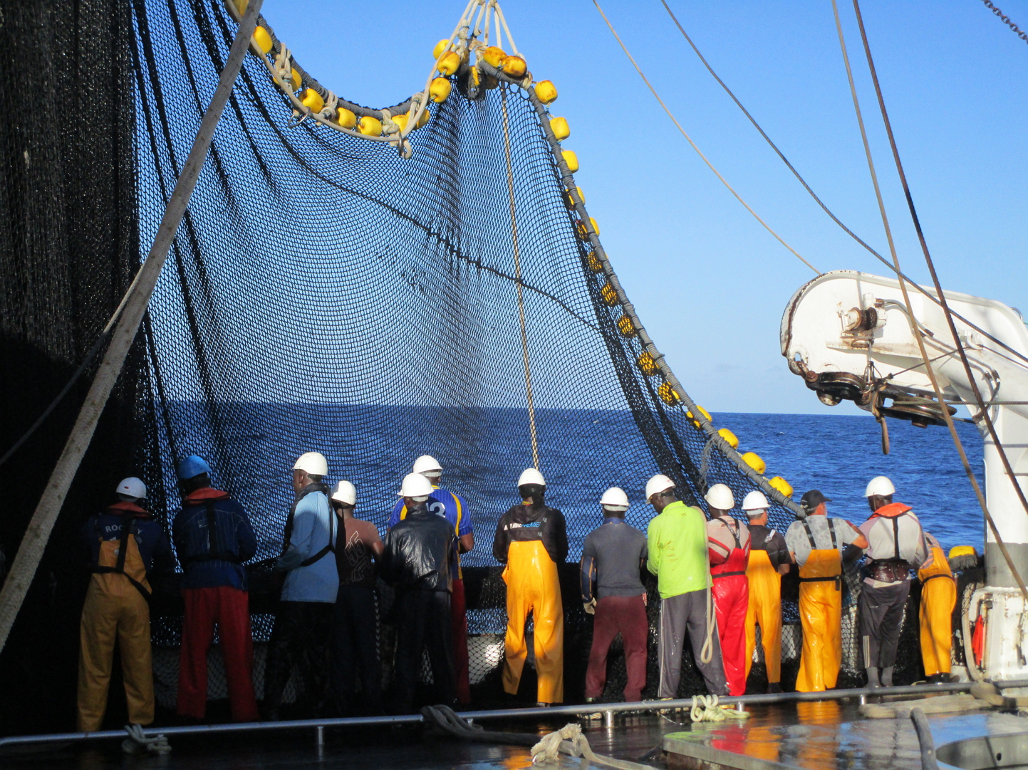 Los atuneros españoles plantan cara a los piratas chinos por el atún blanco