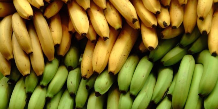 Banana o plátano: estas son las grandes diferencias