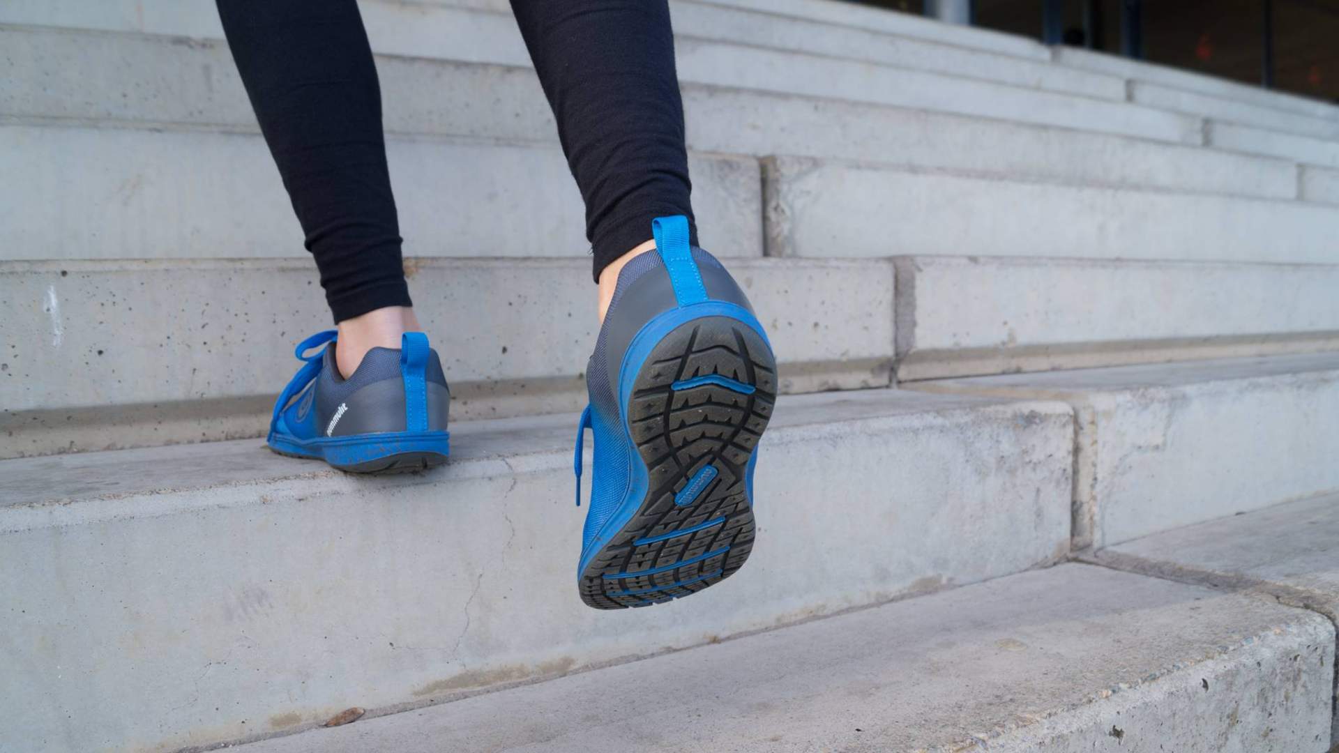 Nummulit y sus zapatillas minimalistas