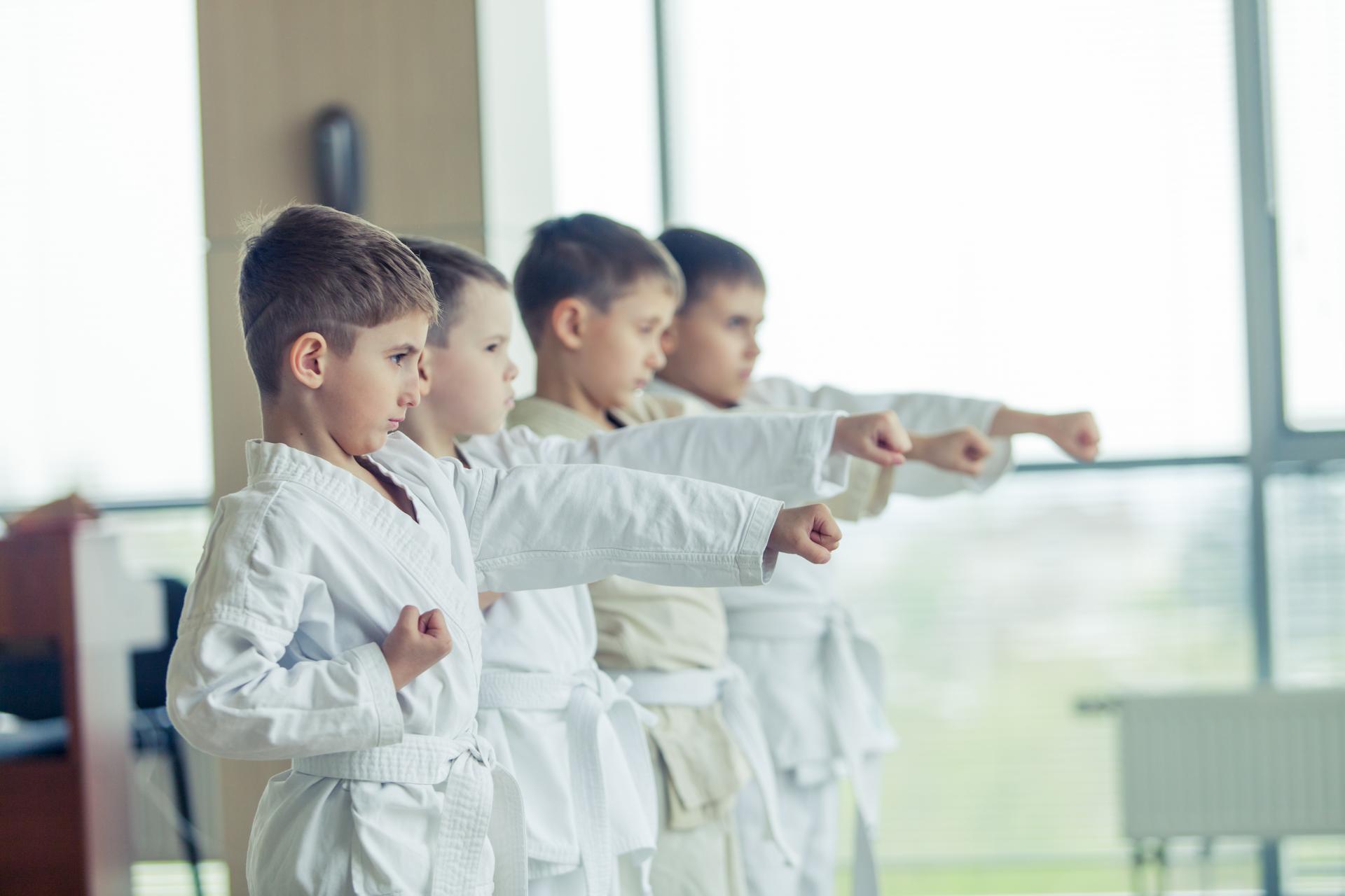El Dojo, Escuela de Artes Marciales y Kenpo Kai en Madrid, es elegida como una de las principales opciones como extraescolar