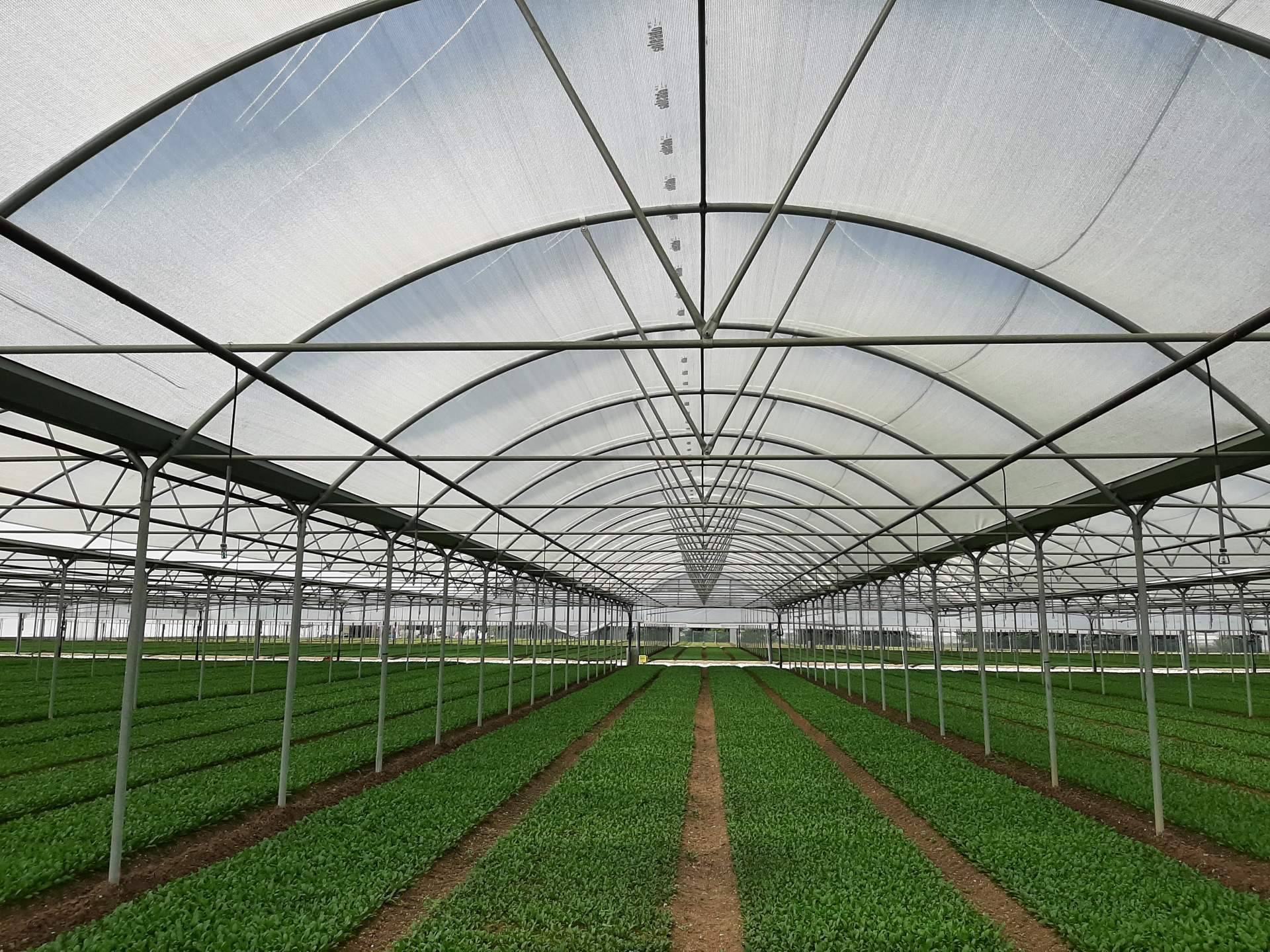 mejorar la calidad de los cultivos gracias a la empresa AGRALIA
