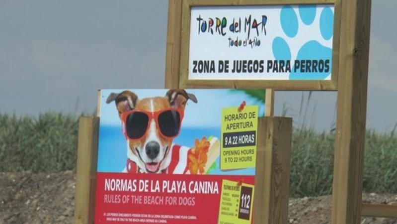 playa canina Merca2.es