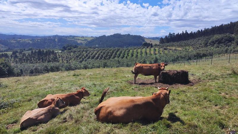 Agricultura suscribe con Cedecarne un convenio para la promoción del consumo de carne