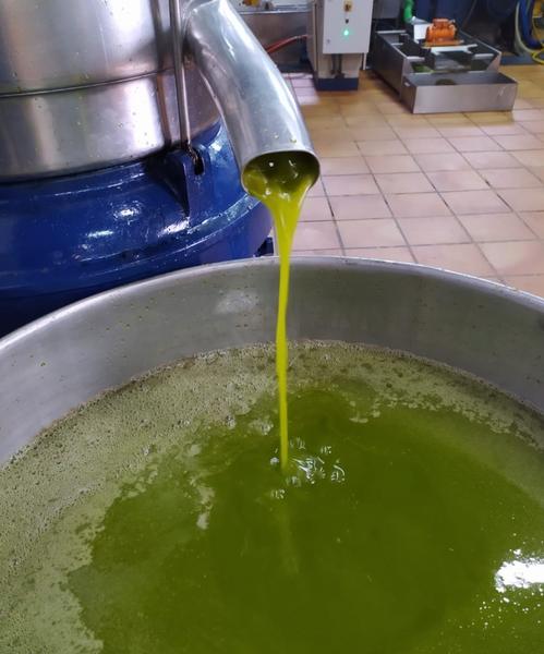 Las salidas de aceite de oliva de las almazaras crecen un 3% hasta julio, con 1,3 millones de toneladas