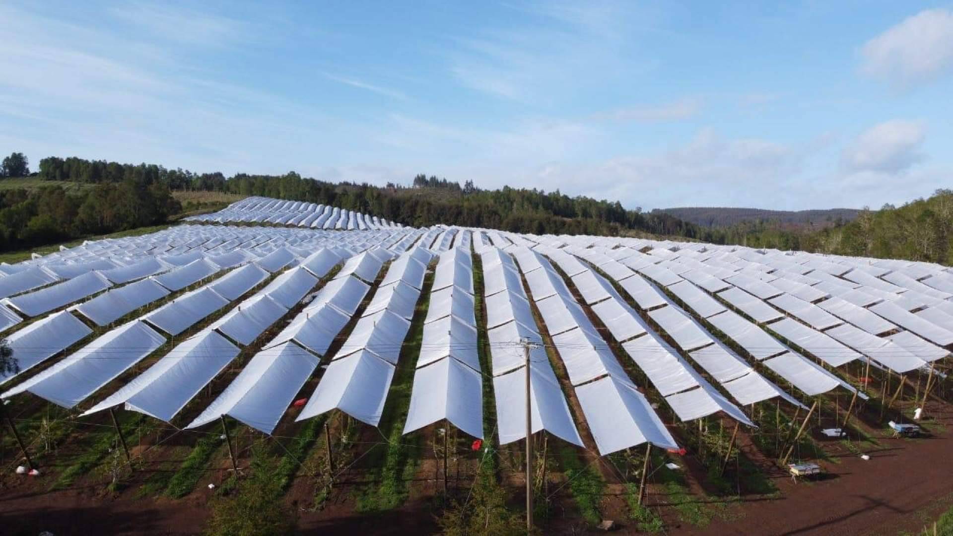 AGRICOVER, la nueva tecnología desarrollada por Agralia