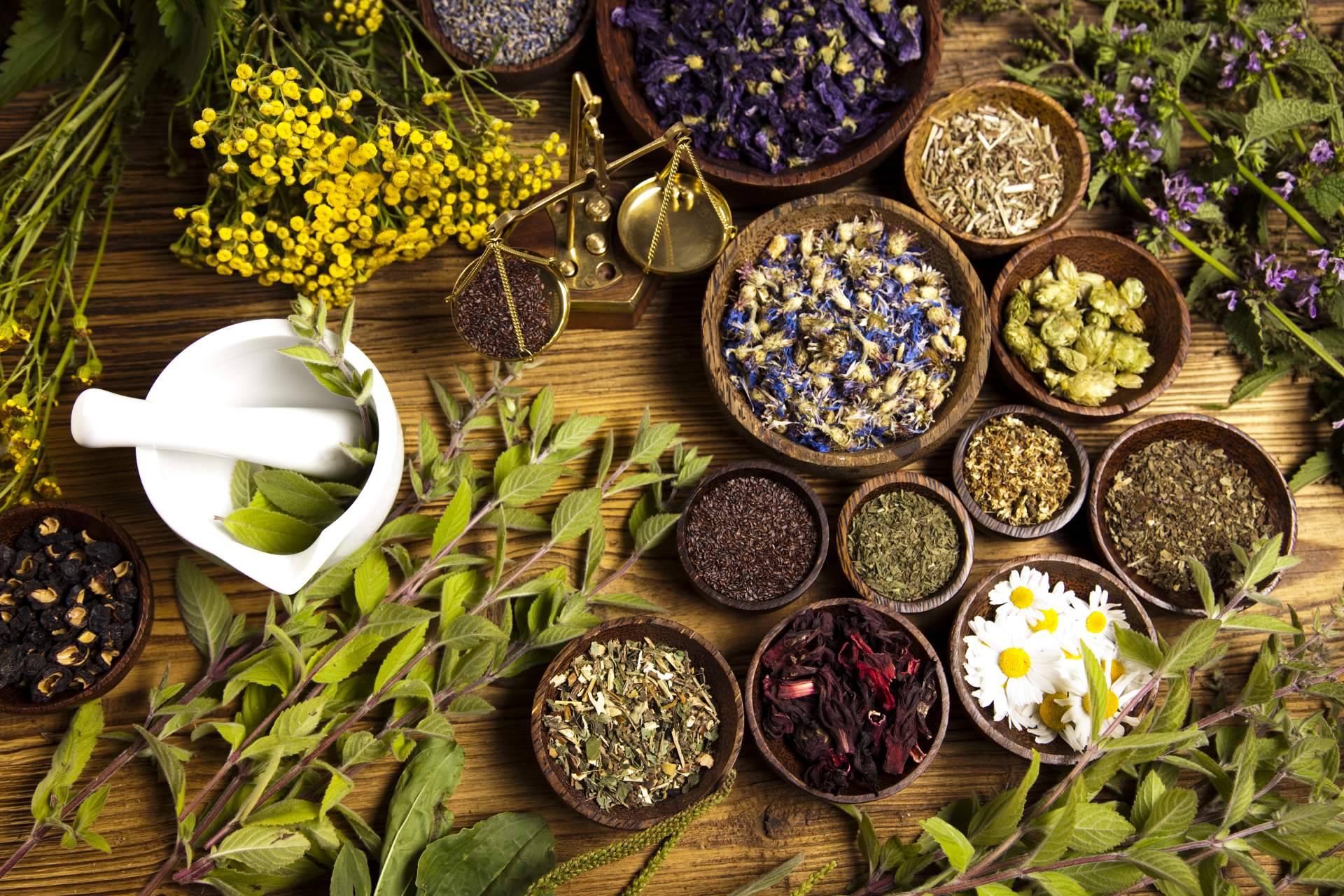 ¿Cuáles son los beneficios del cardamomo y del laurel? Enubien