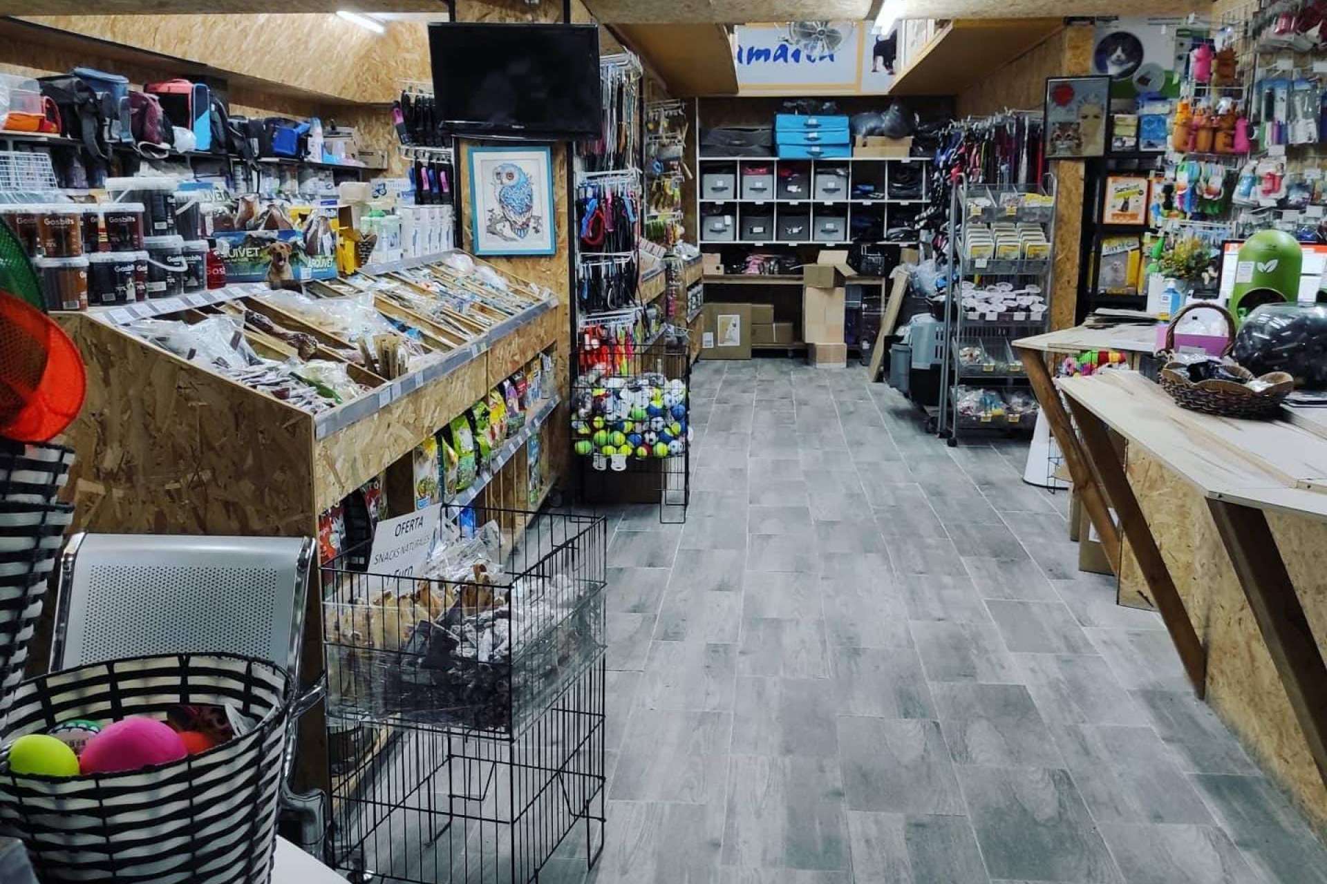 clínica veterinaria Irún con servicio de urgencias 24 horas