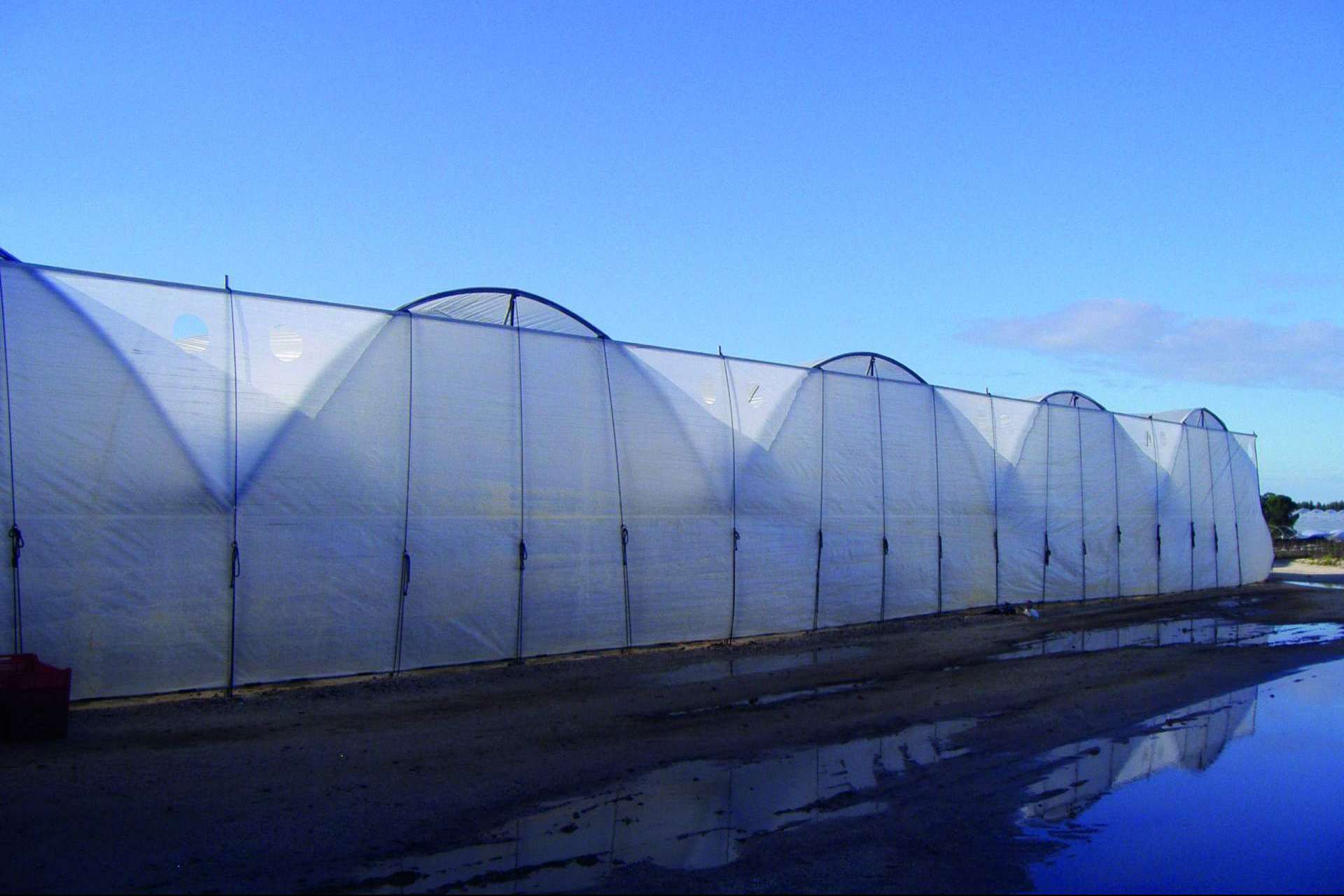 Agralia apuesta por la rentabilidad de la protección de cultivos con la tecnología AGRICOVER