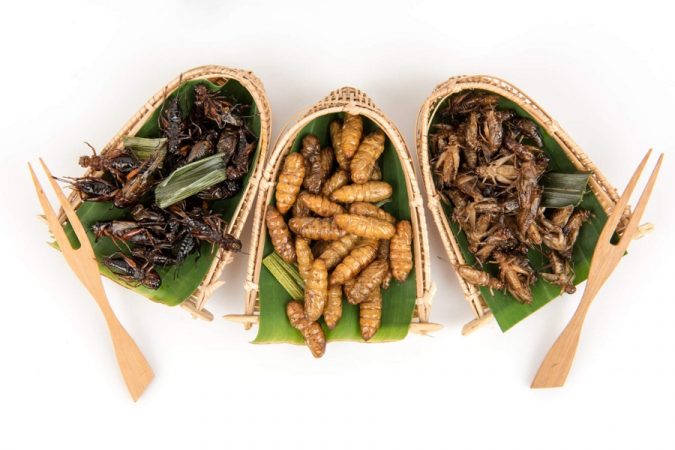 ¿Cómo saber si un producto contiene insectos?