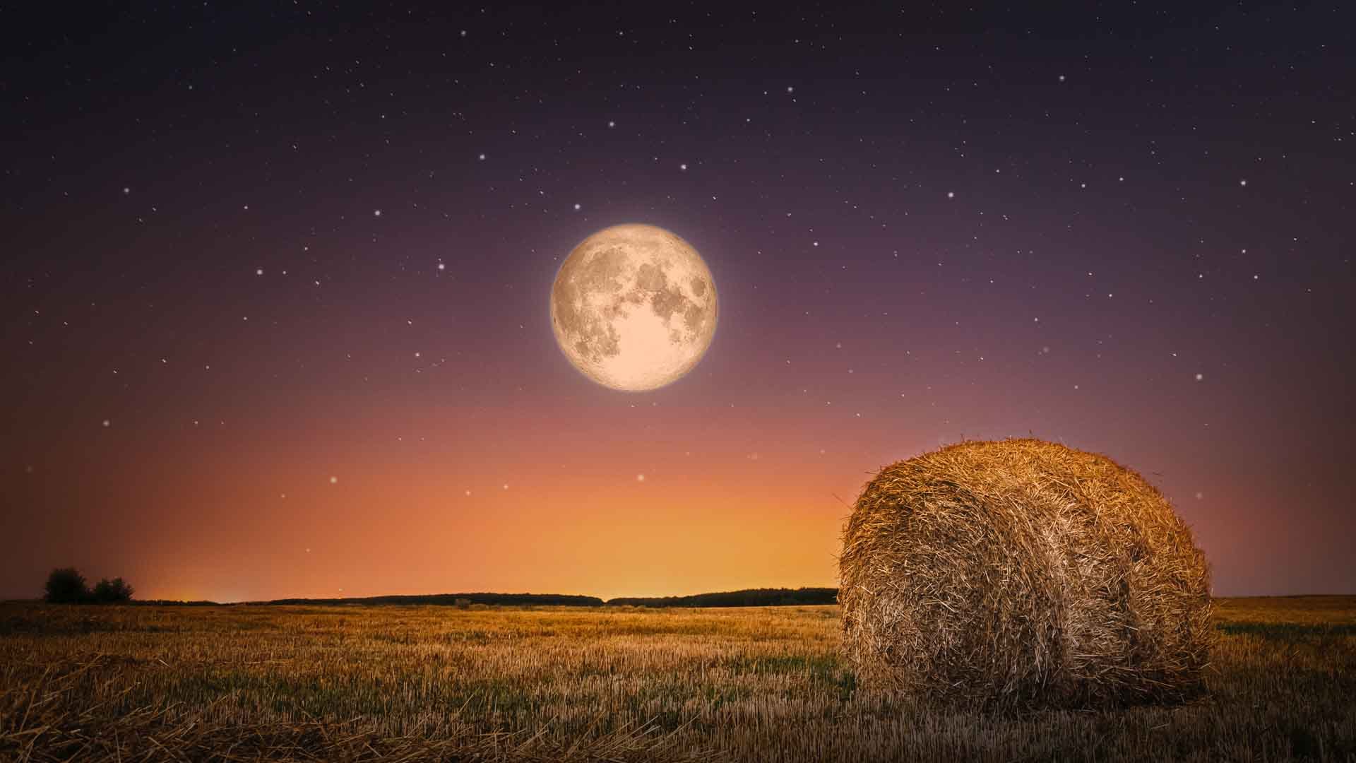 Luna llena de la cosecha: que és y cómo puede verse hoy martes
