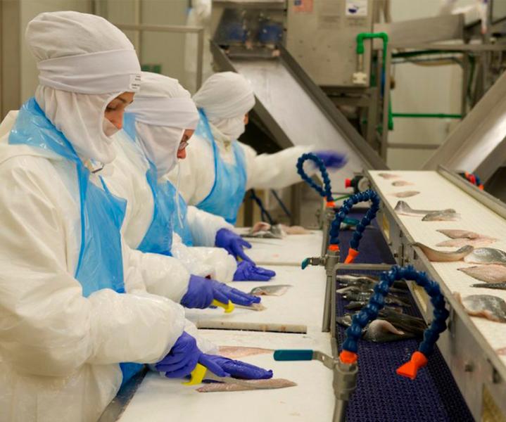 Corporación Financiera Alba comprará el 23,71% de Profand por 100 M€