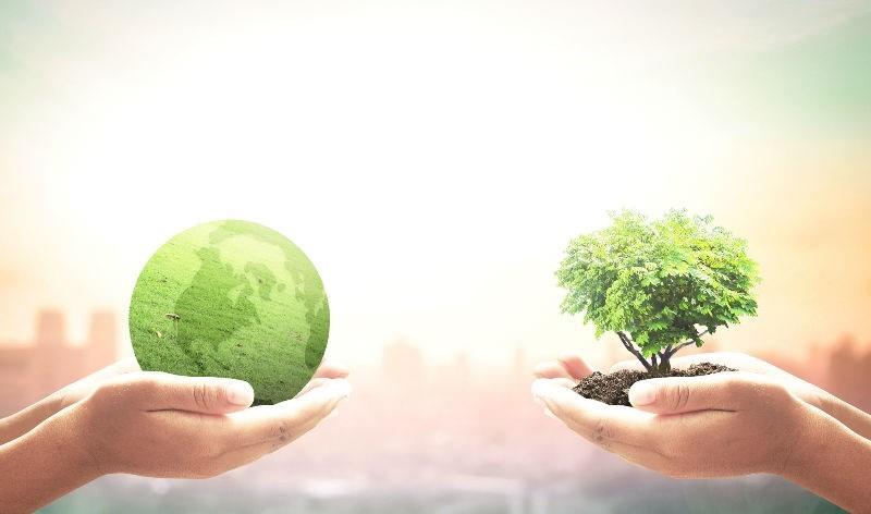 Vanguard podría perder la gestión de 2,55 billones de euros hasta 2050 debido al cambio climático