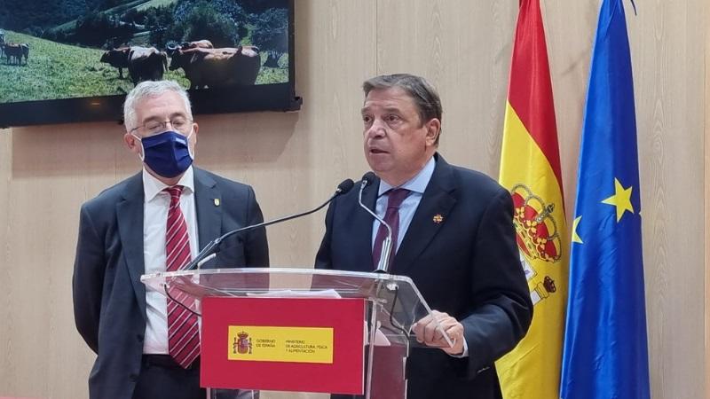 Agricultura abre la consulta pública de la norma de ordenación de las granjas de ganado vacuno