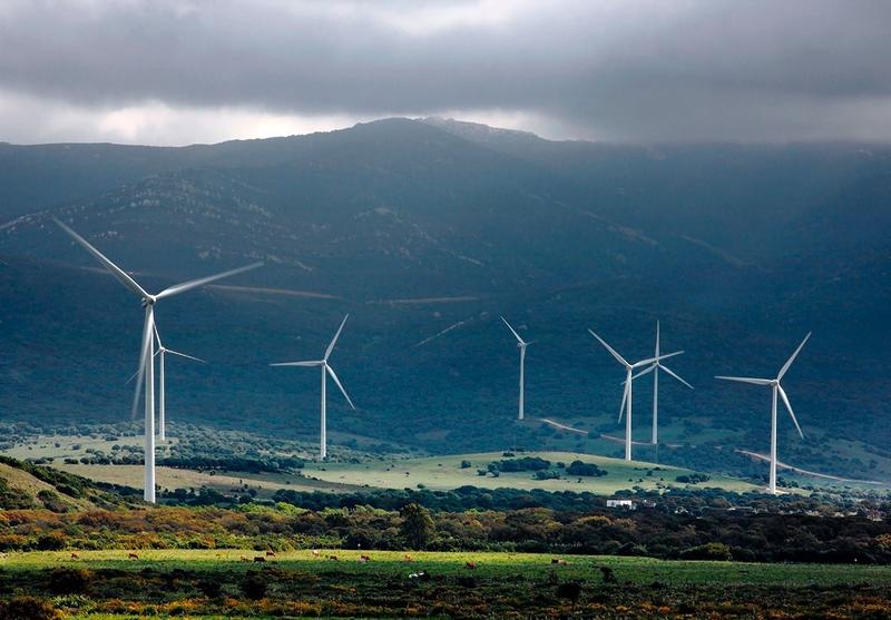 Audax Renovables pierde 3,6 M€ en el primer semestre pero eleva sus ingresos un 71%