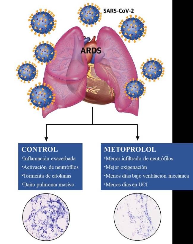 Cardiologia Merca2.es