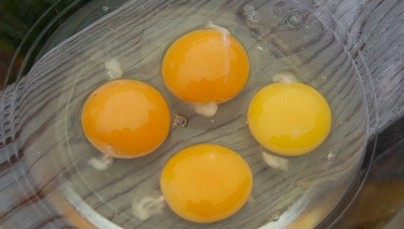 Huevos crudos 1 Merca2.es