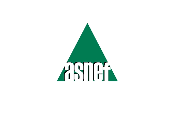 asnef logo