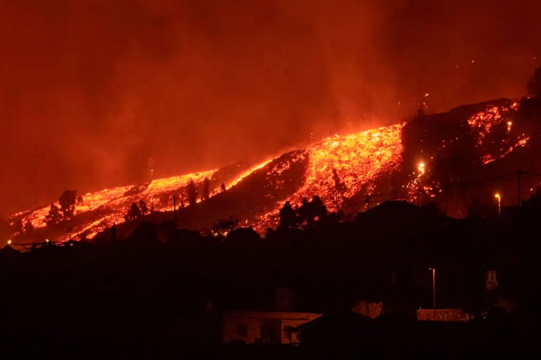 ayudas publicas la palma