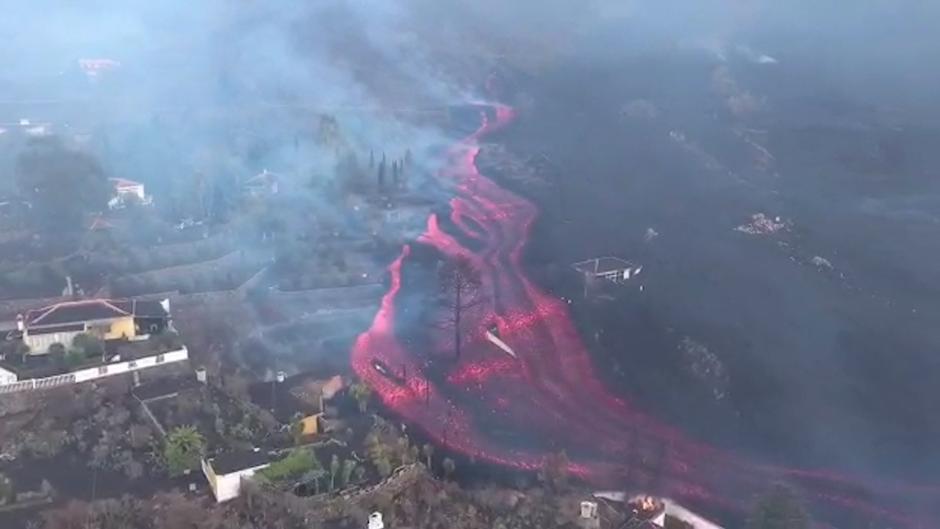 ayudas negocios la palma