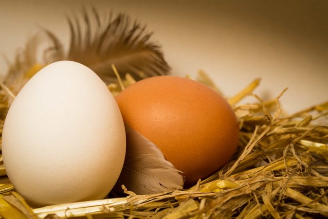 Esto es lo que le pasa a tu cuerpo si comes huevos casi todos los días 10 Merca2.es platos sanos huevos