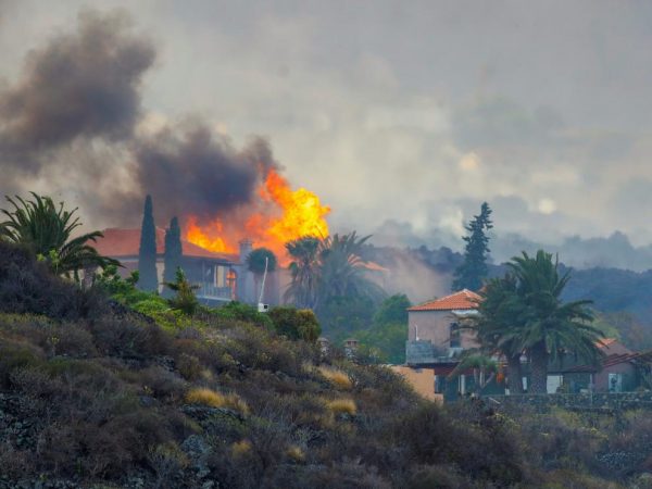 piden ayudas autonomos la palma