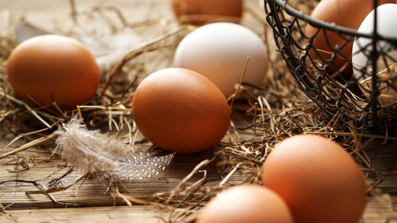 cuanto engordan huevos