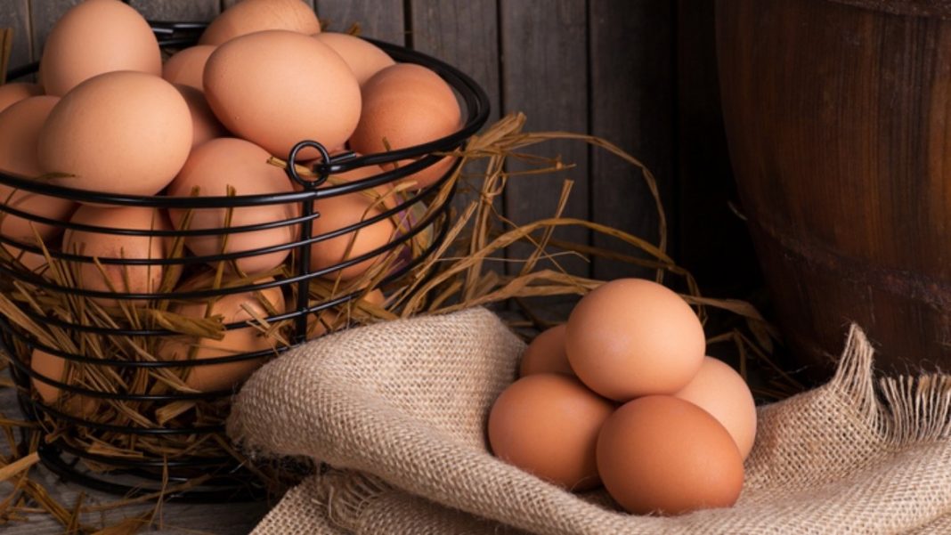 huevos en la dieta