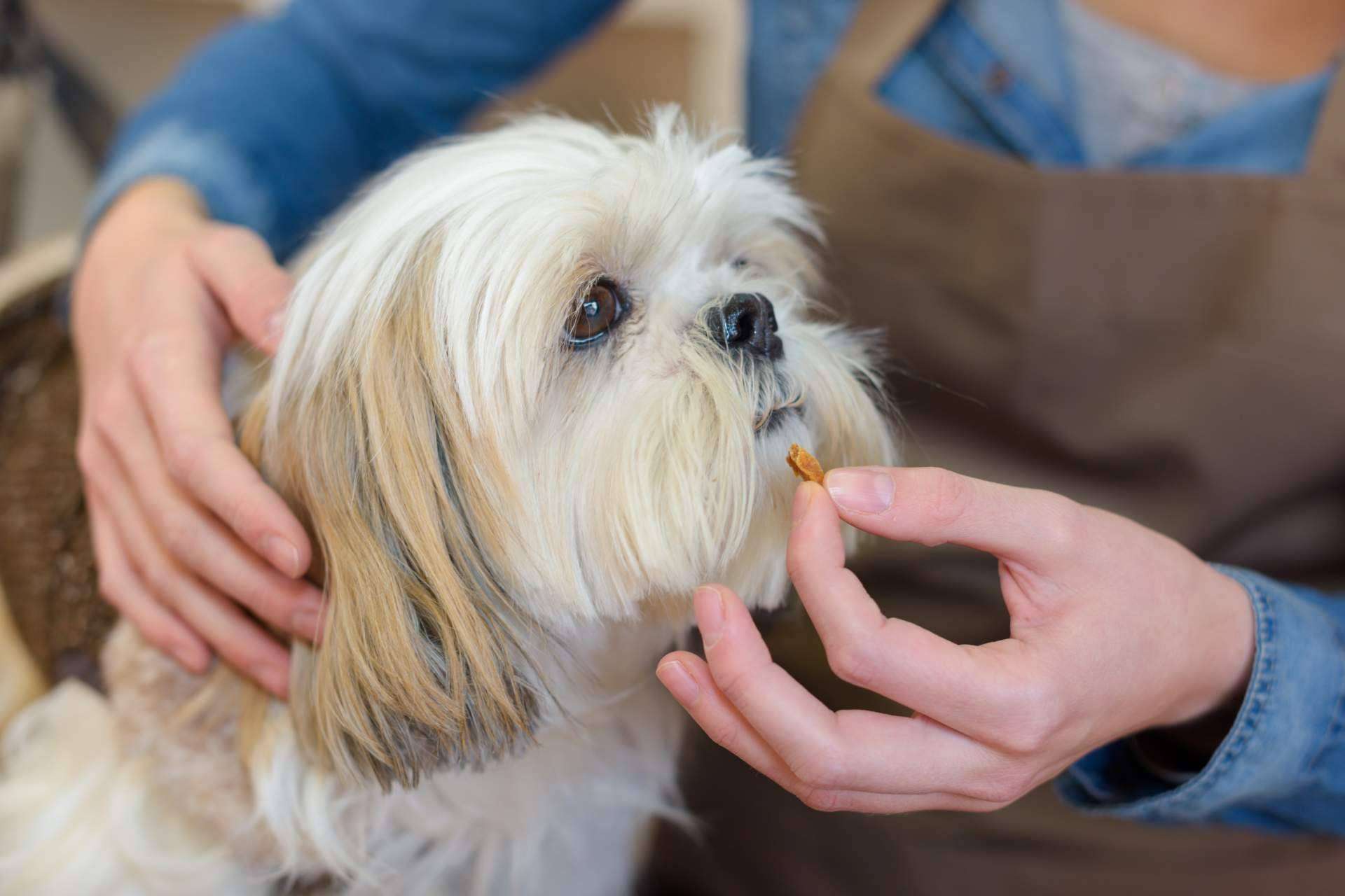 Suplementos para mascotas de Mediterranean Superfoods
