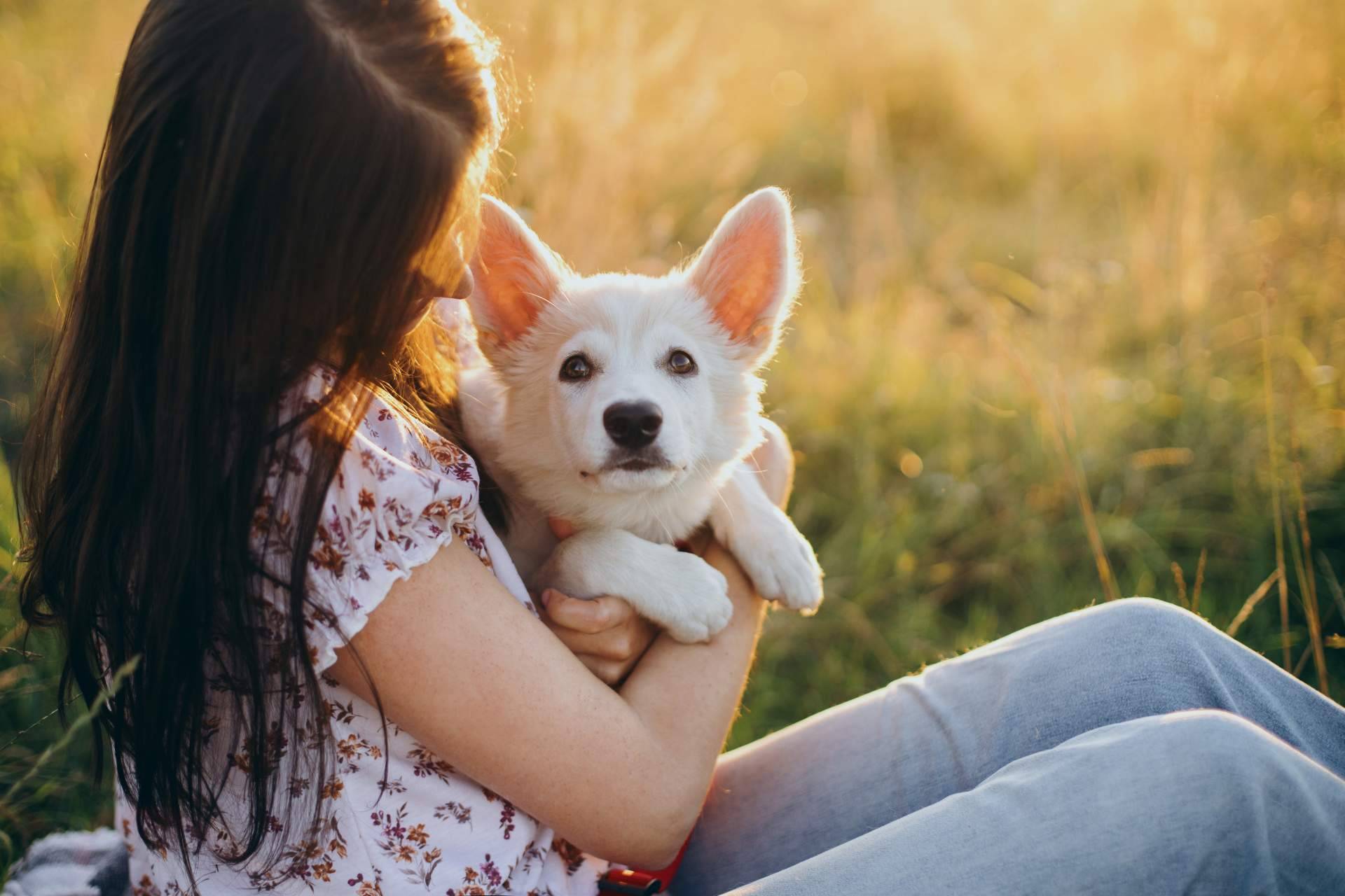 encontrar a los peludos en adopción que más se ajusten al estilo de vida del usuario